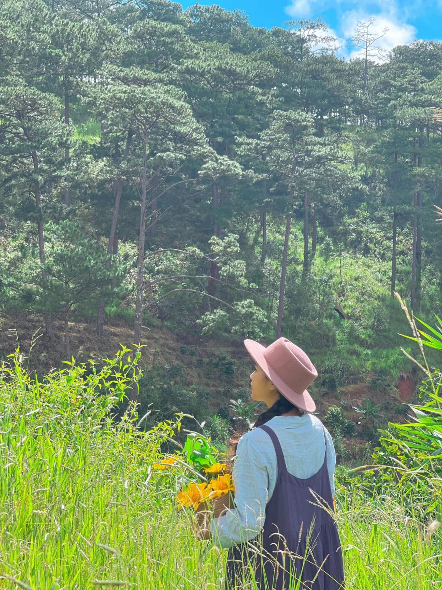 Dalat Memories Homestay - Phố Sương Mờ Đà Lạt Extérieur photo