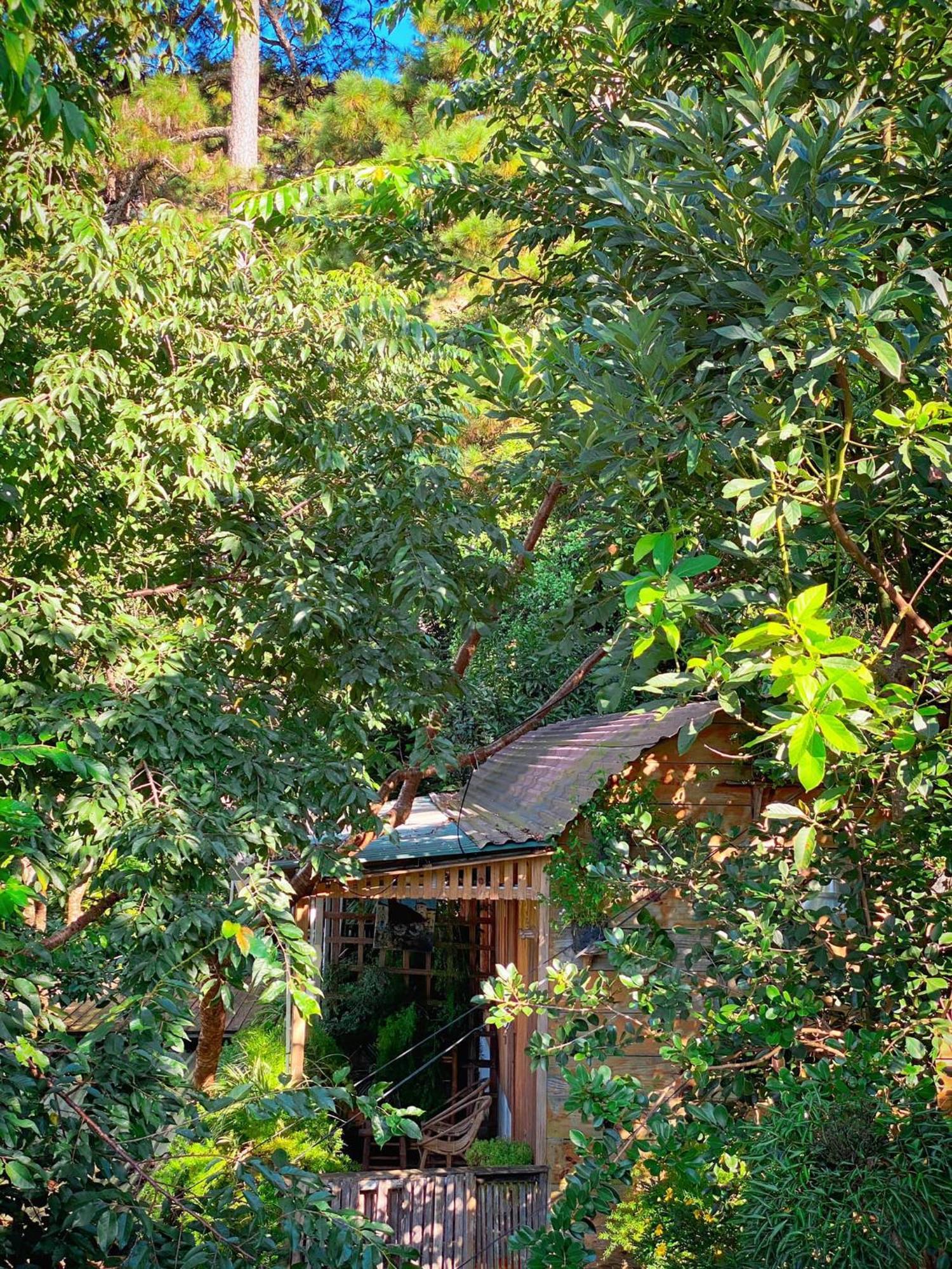 Dalat Memories Homestay - Phố Sương Mờ Đà Lạt Extérieur photo
