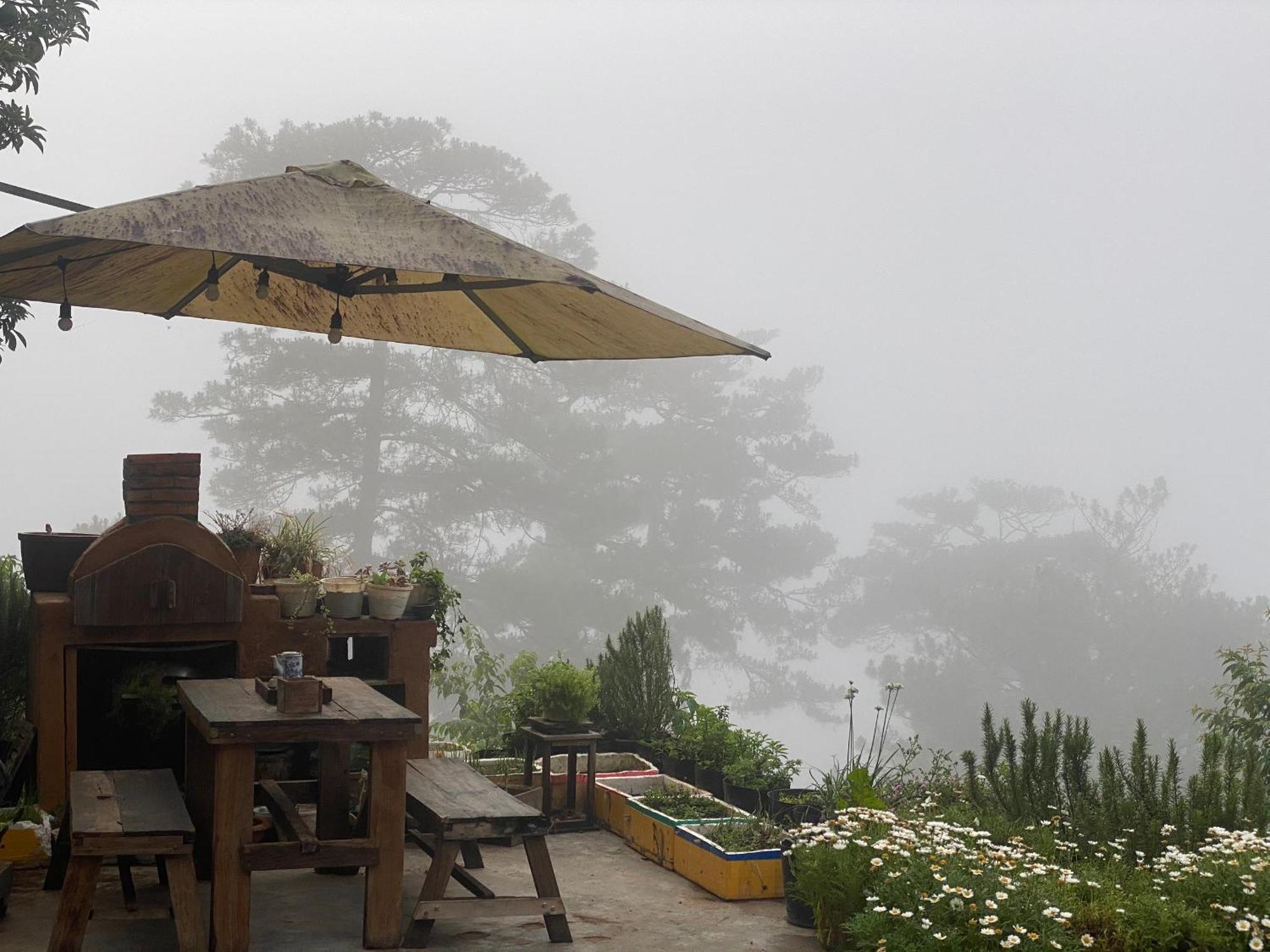 Dalat Memories Homestay - Phố Sương Mờ Đà Lạt Extérieur photo