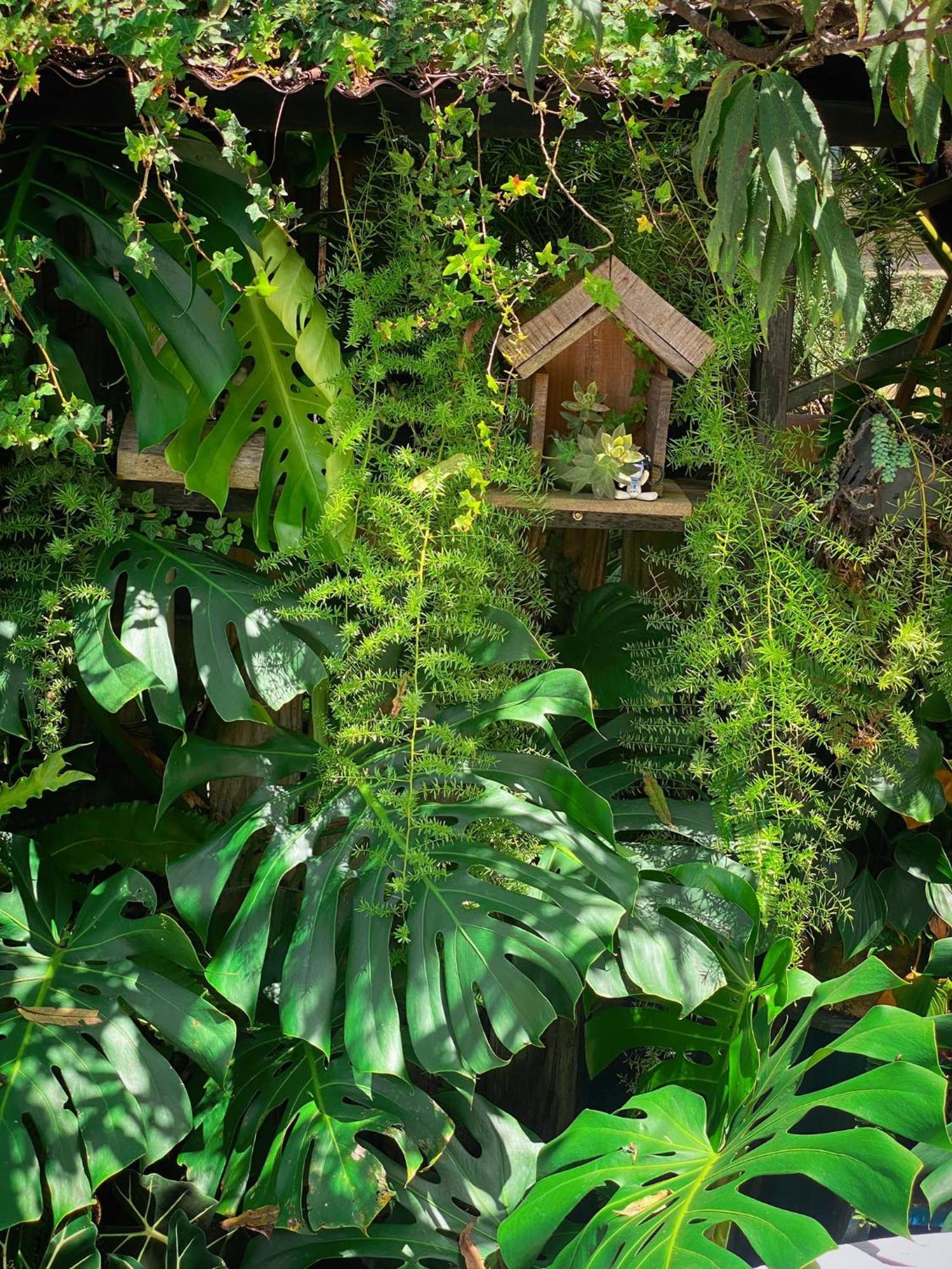 Dalat Memories Homestay - Phố Sương Mờ Đà Lạt Extérieur photo
