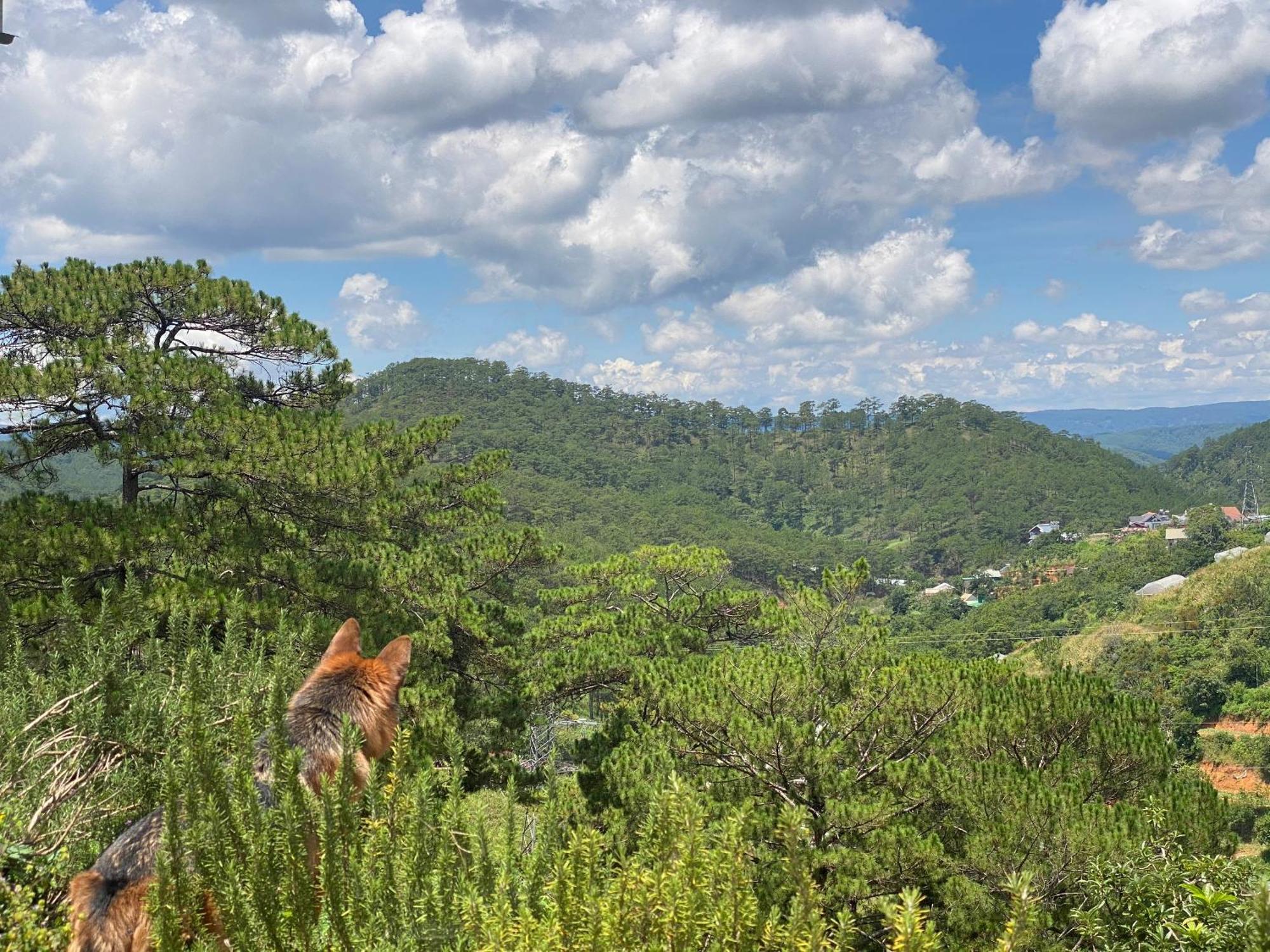 Dalat Memories Homestay - Phố Sương Mờ Đà Lạt Extérieur photo