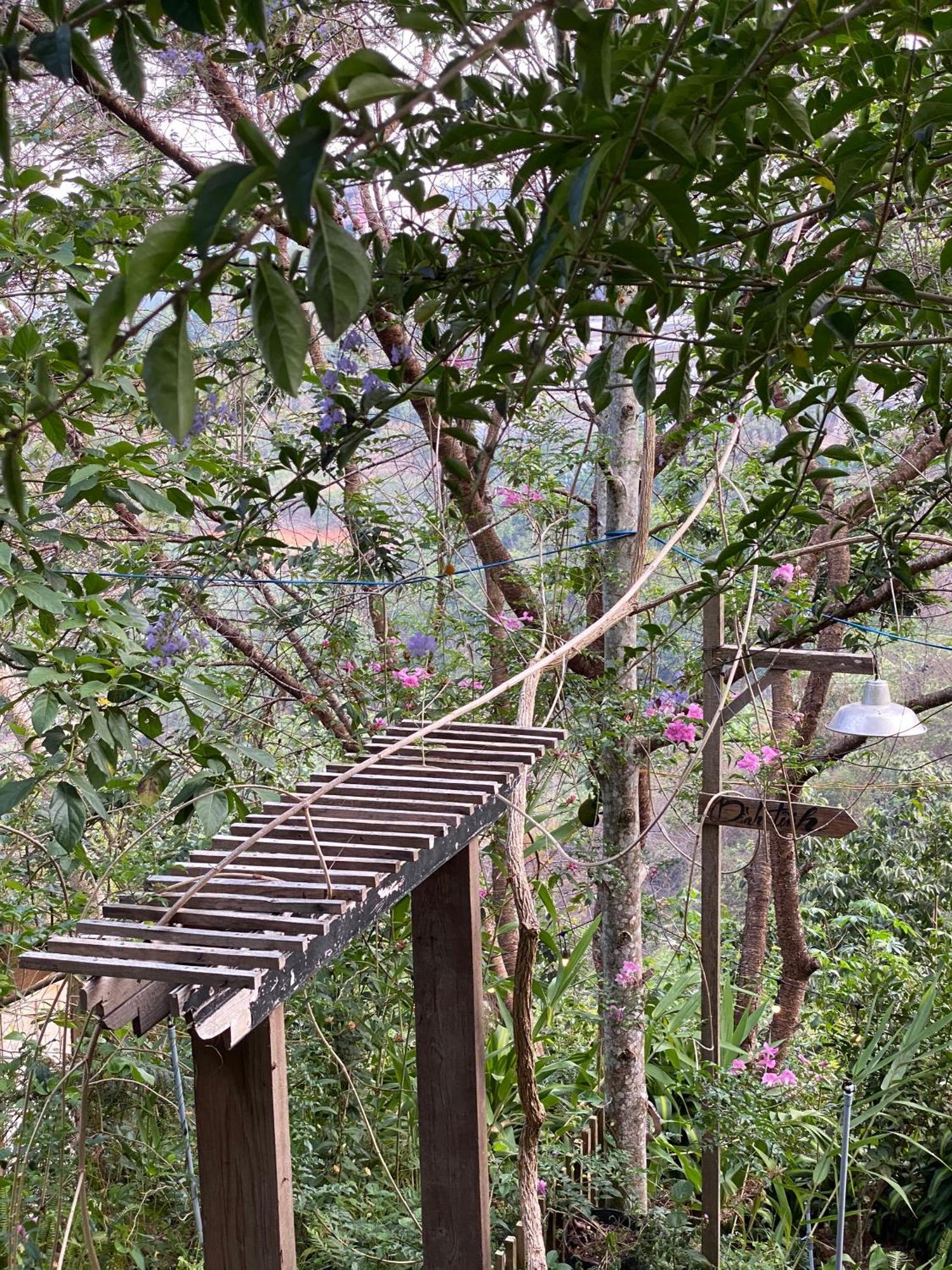 Dalat Memories Homestay - Phố Sương Mờ Đà Lạt Extérieur photo