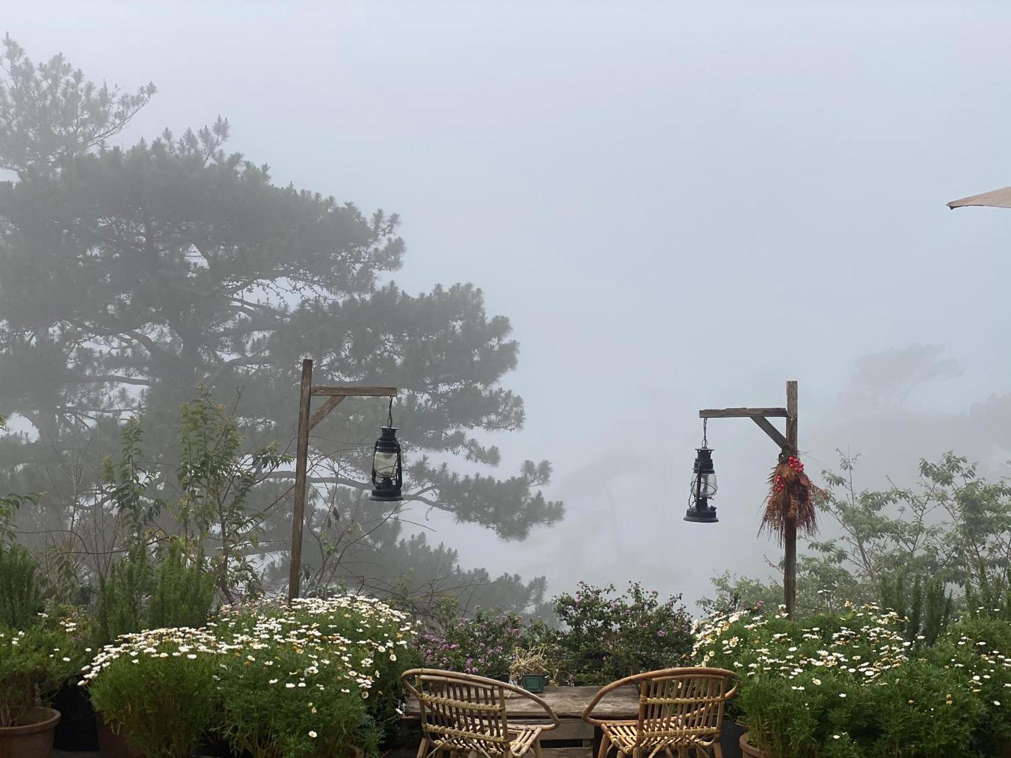 Dalat Memories Homestay - Phố Sương Mờ Đà Lạt Extérieur photo