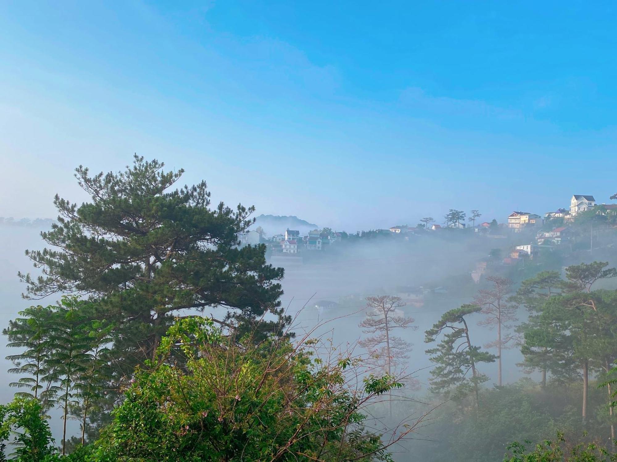 Dalat Memories Homestay - Phố Sương Mờ Đà Lạt Extérieur photo