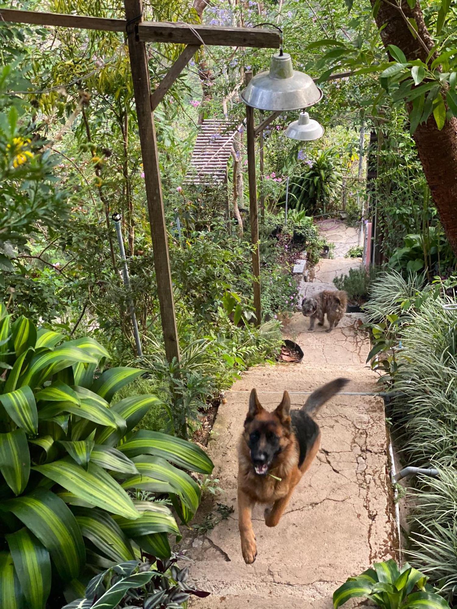 Dalat Memories Homestay - Phố Sương Mờ Đà Lạt Extérieur photo
