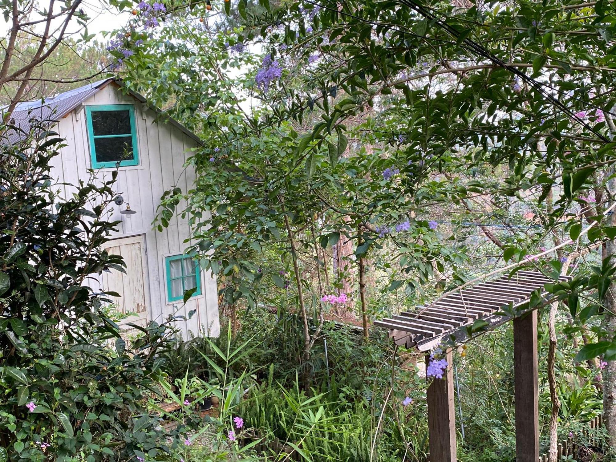 Dalat Memories Homestay - Phố Sương Mờ Đà Lạt Extérieur photo