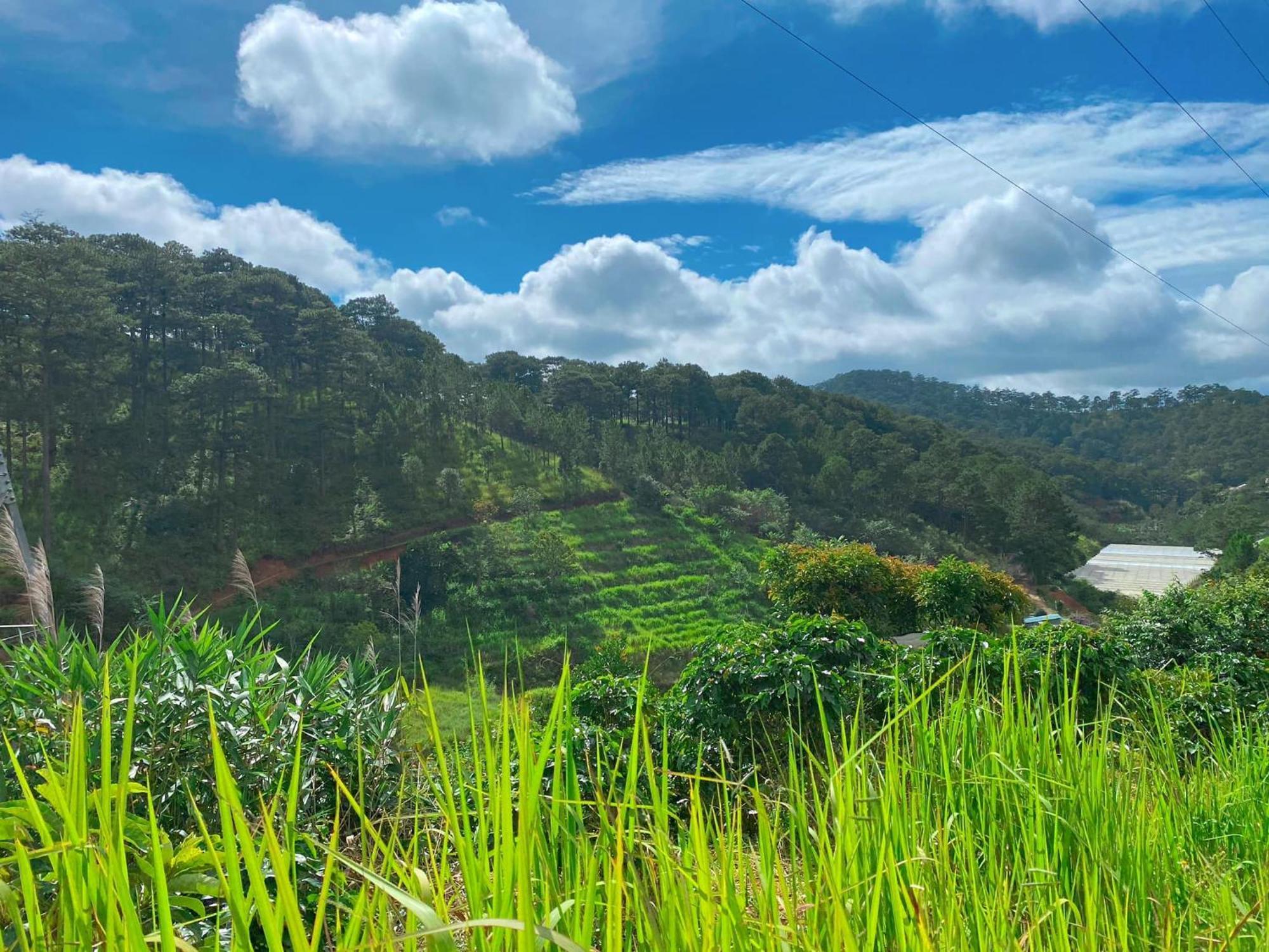 Dalat Memories Homestay - Phố Sương Mờ Đà Lạt Extérieur photo